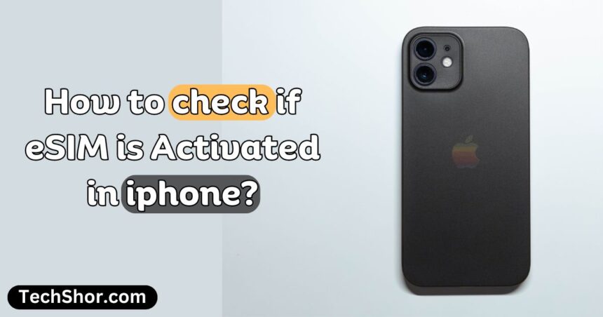 How to check if eSIM is Activated in iphone?